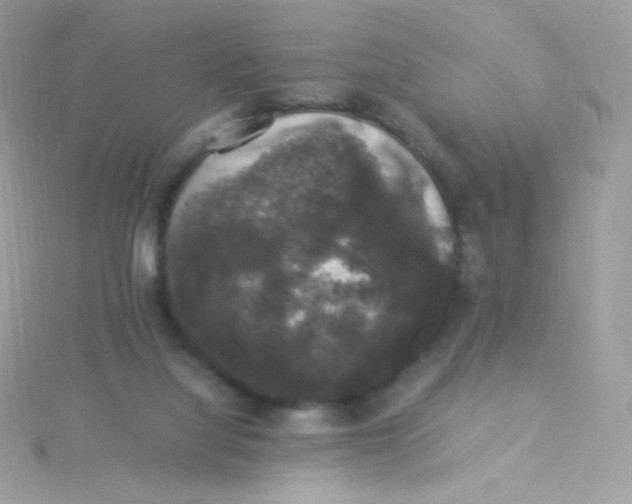 X0000115340068200911231442