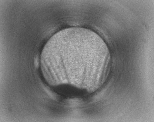 X0000115340069200911231442