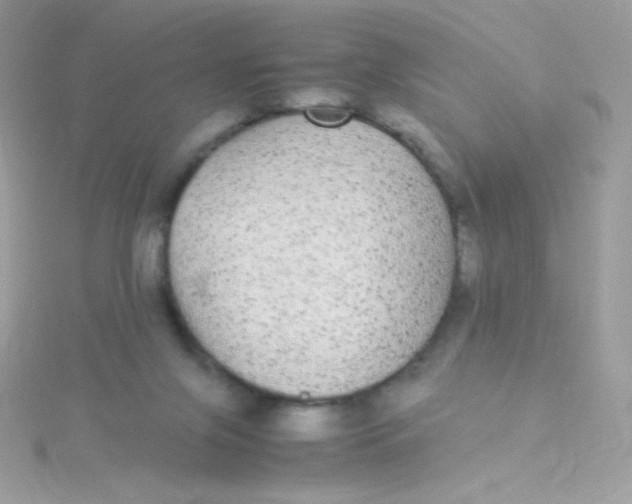 X0000115340071200911231442