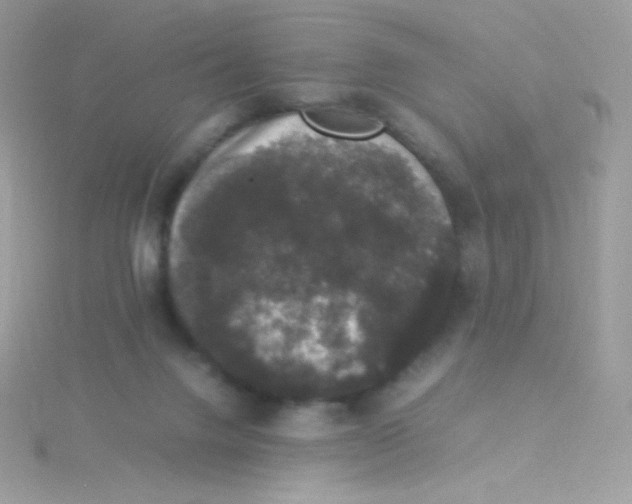 X0000115340072200911231442