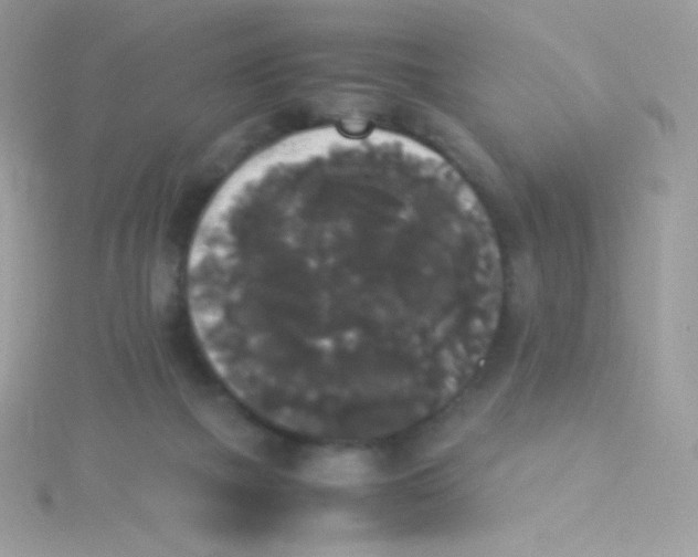 X0000115340073200911231442