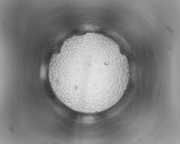 X0000115340075200911231442