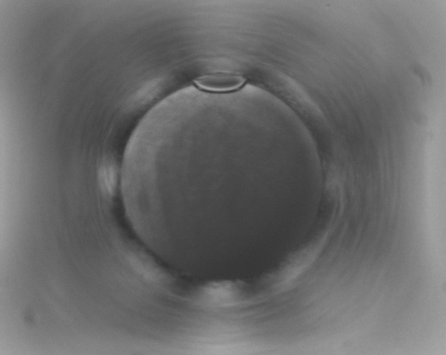 X0000115340076200911231442