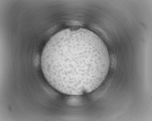 X0000115340077200911231442