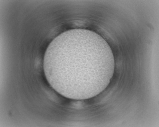 X0000115340079200911231442