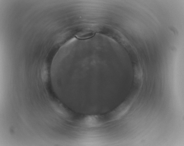 X0000115340080200911231442