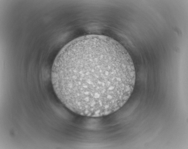 X0000115340081200911231442