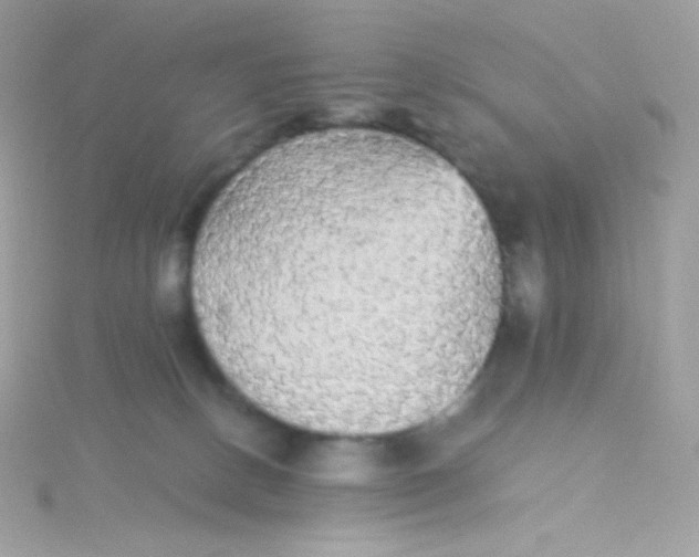 X0000115340082200911231442