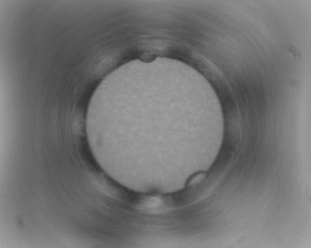 X0000115340083200911231442