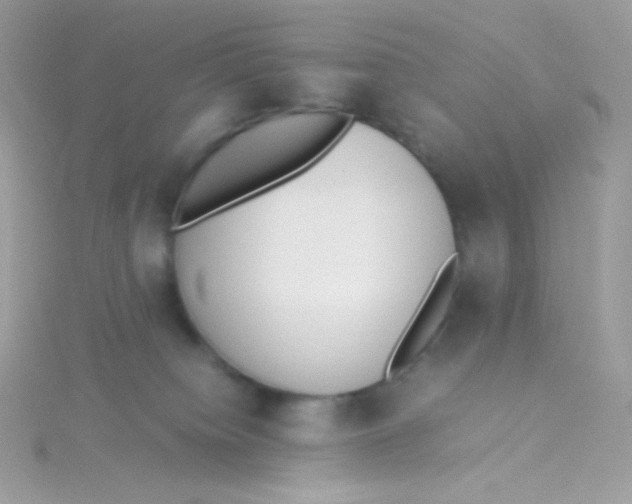 X0000115340084200911231442