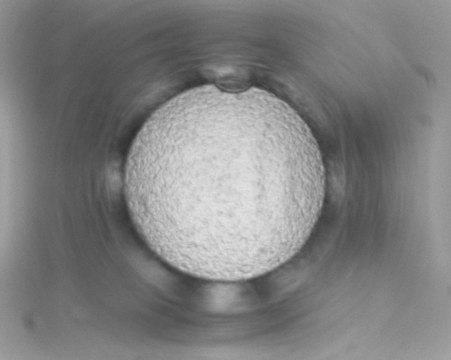 X0000115340085200911231442