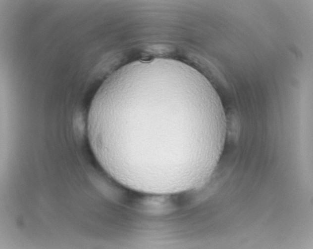 X0000115340086200911231442