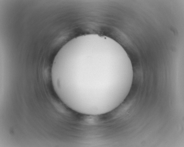 X0000115340088200911231442