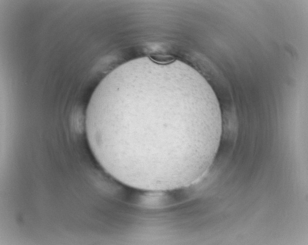 X0000115340090200911231442