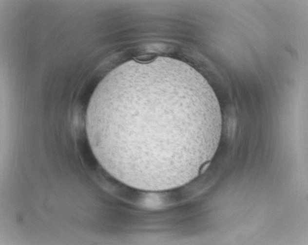 X0000115340091200911231442