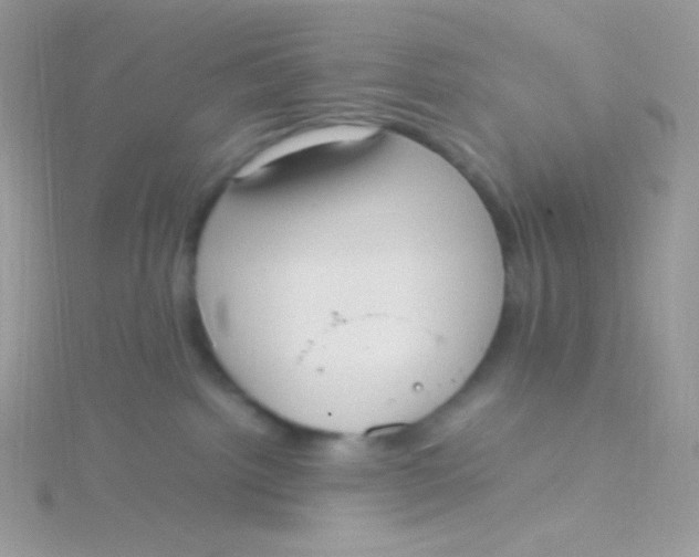 X0000115340092200911231442