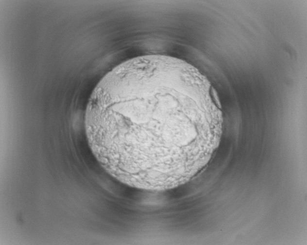 X0000115340093200911231442