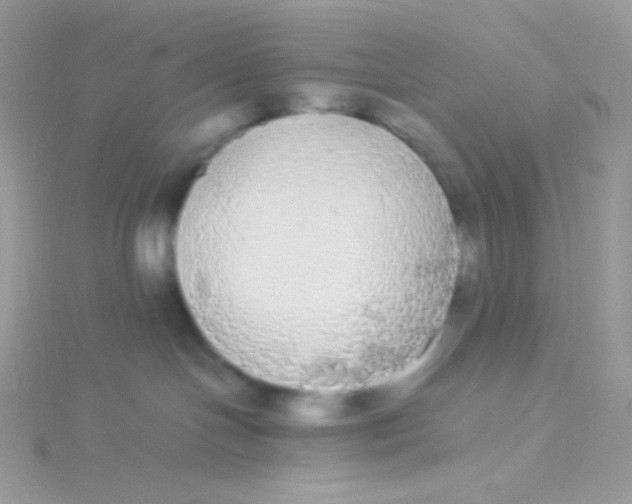 X0000115340094200911231442