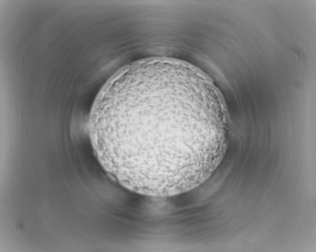 X0000115340095200911231442