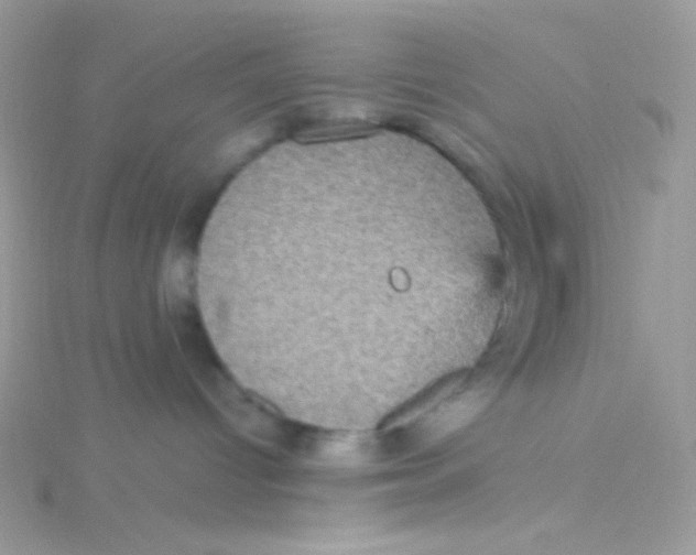 X0000115340096200911231442