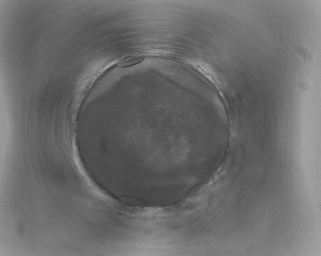 X0000115340097200911231441