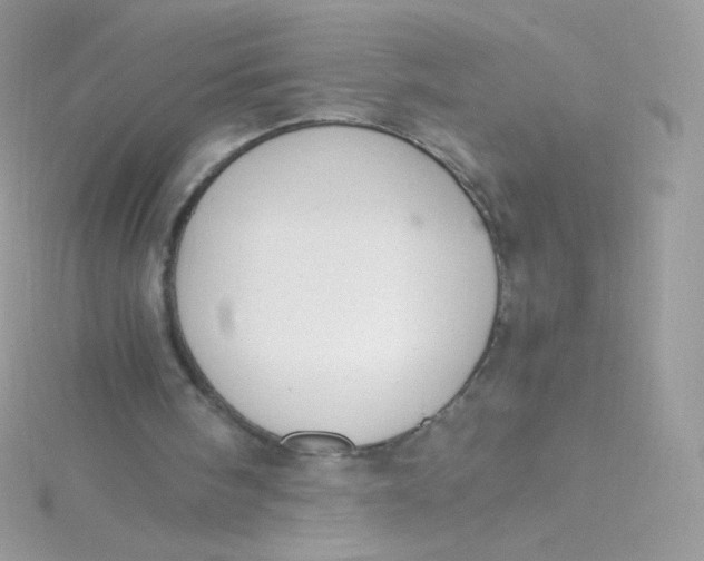 X0000115340098200911231441