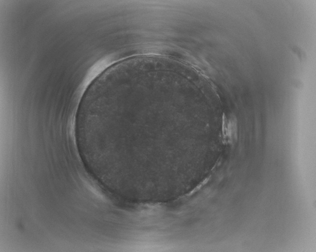 X0000115340099200911231441