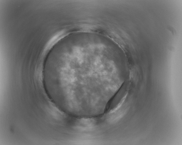 X0000115340101200911231441