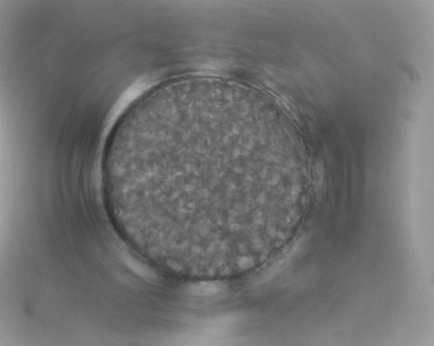 X0000115340102200911231441