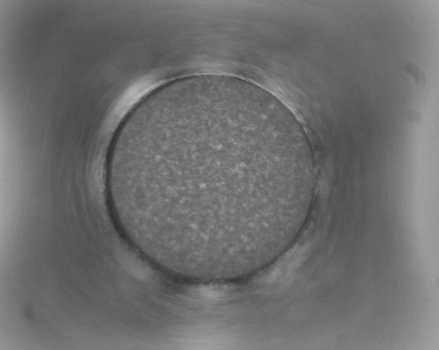 X0000115340103200911231441