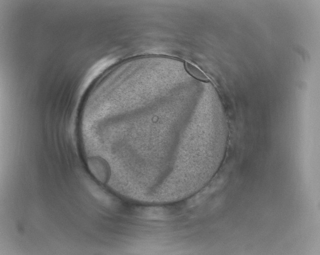 X0000115340104200911231441