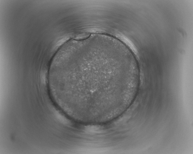 X0000115340105200911231441