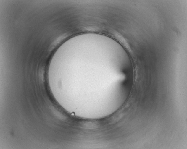 X0000115340106200911231441