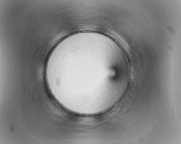 X0000115340107200911231441