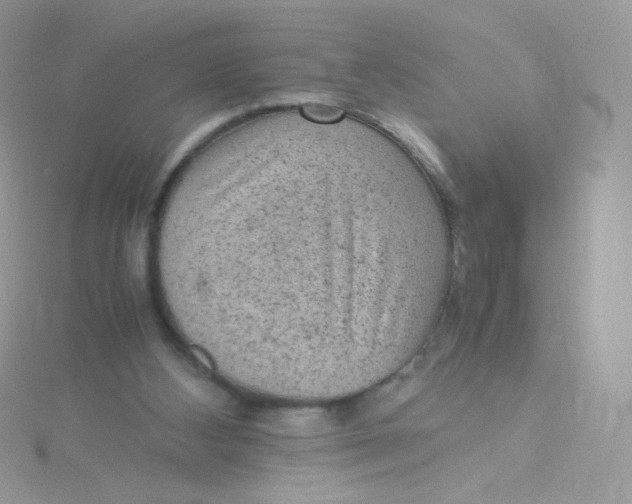 X0000115340108200911231441