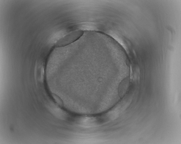 X0000115340109200911231441