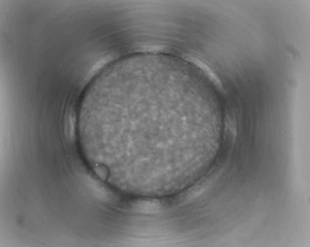 X0000115340110200911231441