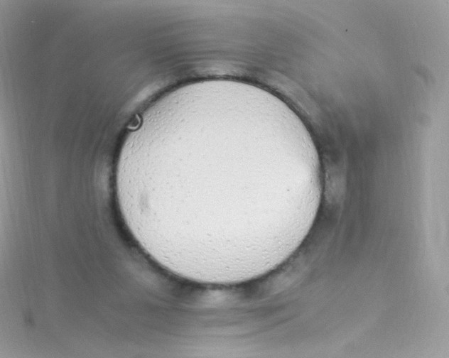 X0000115340111200911231441