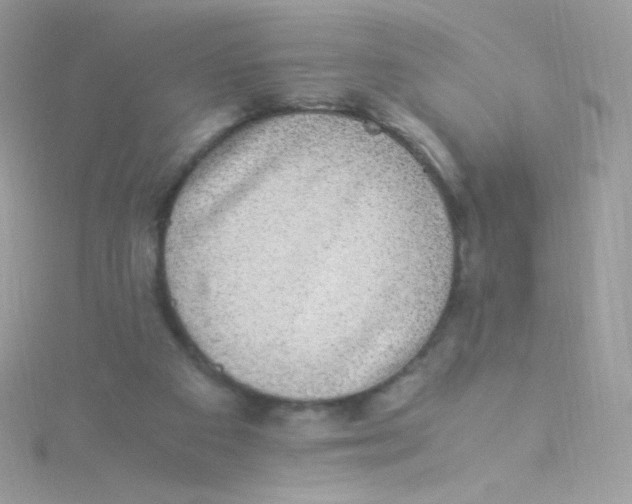 X0000115340113200911231441