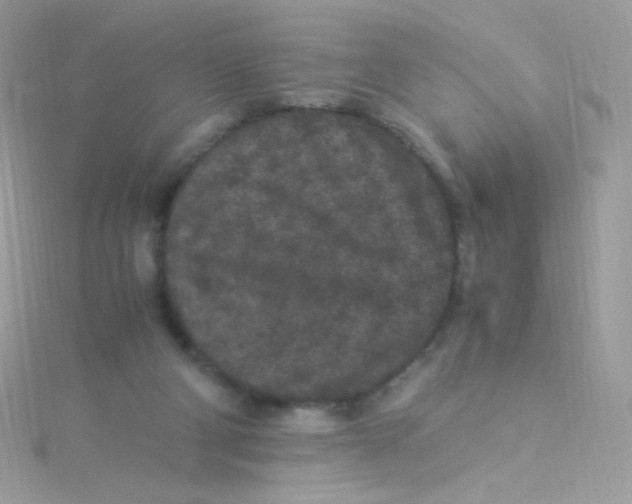 X0000115340114200911231441