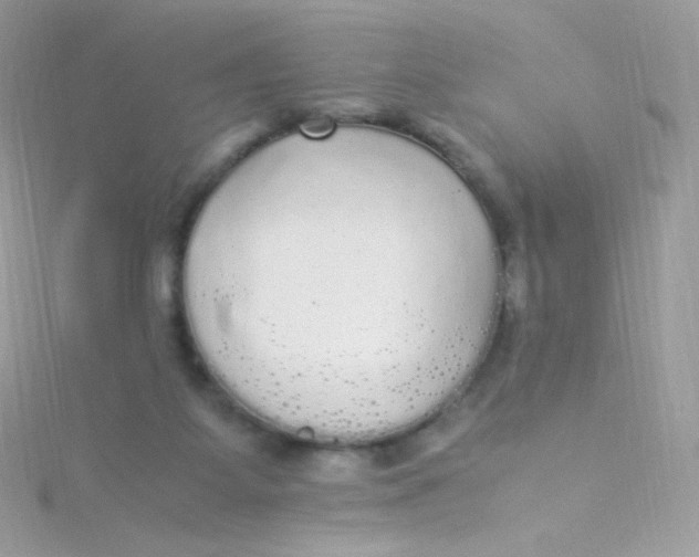 X0000115340115200911231441