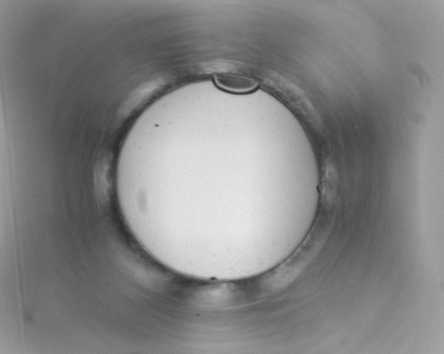 X0000115340116200911231441