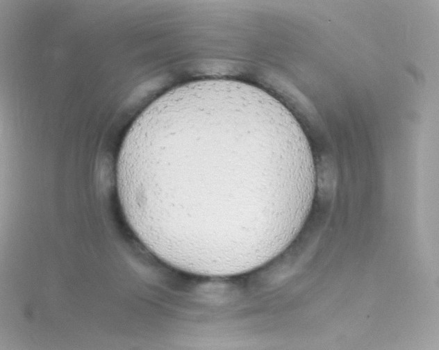 X0000115340119200911231441