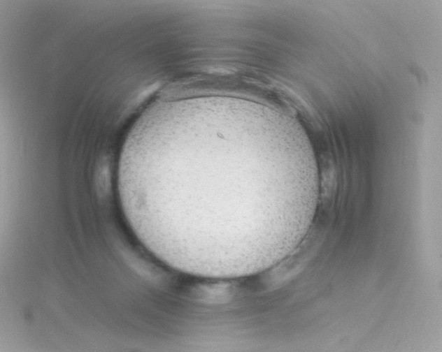 X0000115340120200911231441