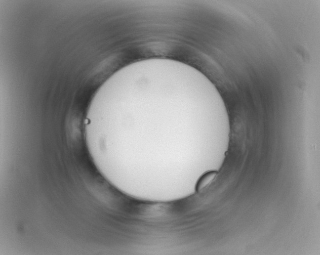 X0000115340122200911231441