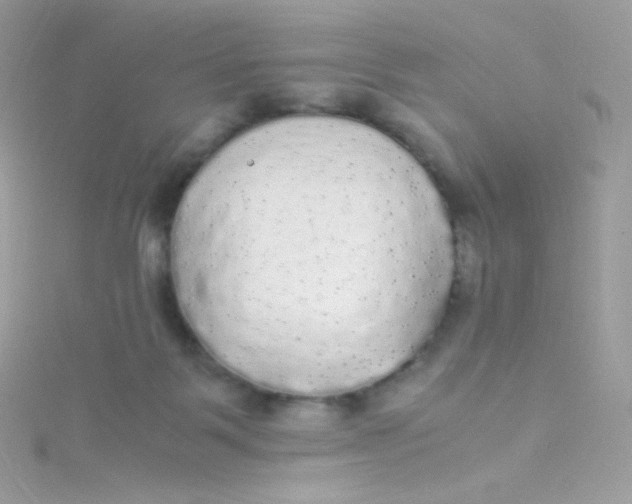 X0000115340123200911231441