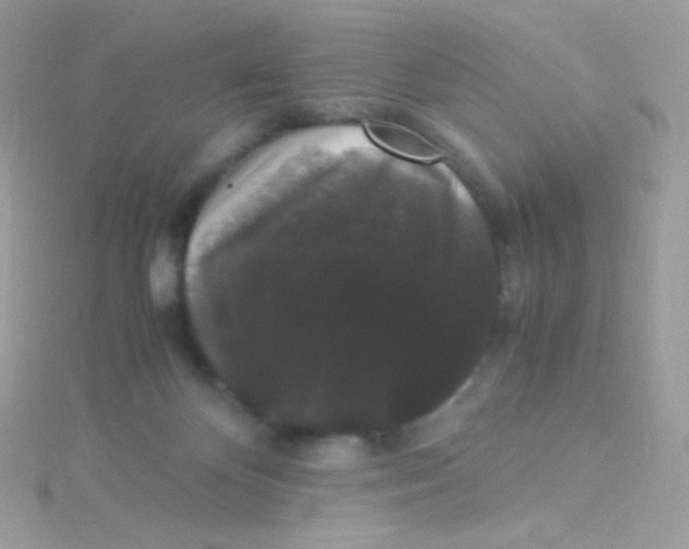 X0000115340124200911231441