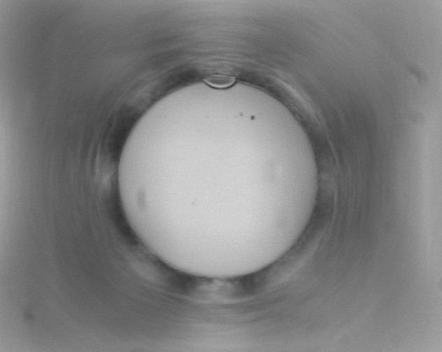 X0000115340125200911231441