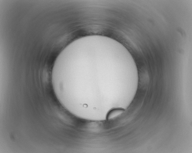 X0000115340126200911231441