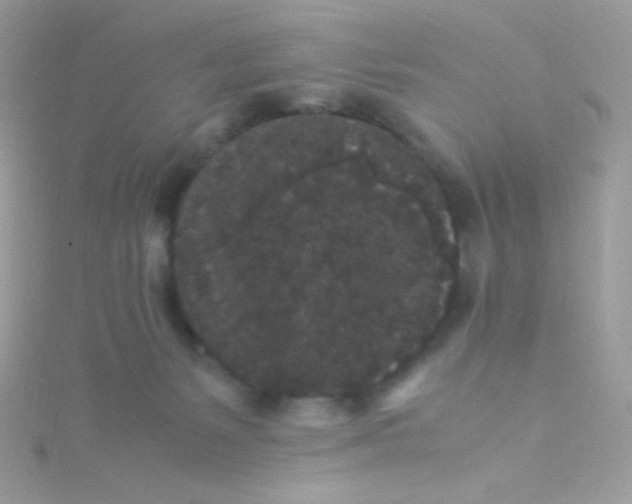 X0000115340127200911231441